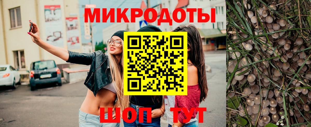 Галлюциногенные грибы Psilocybine cubensis Корсаков